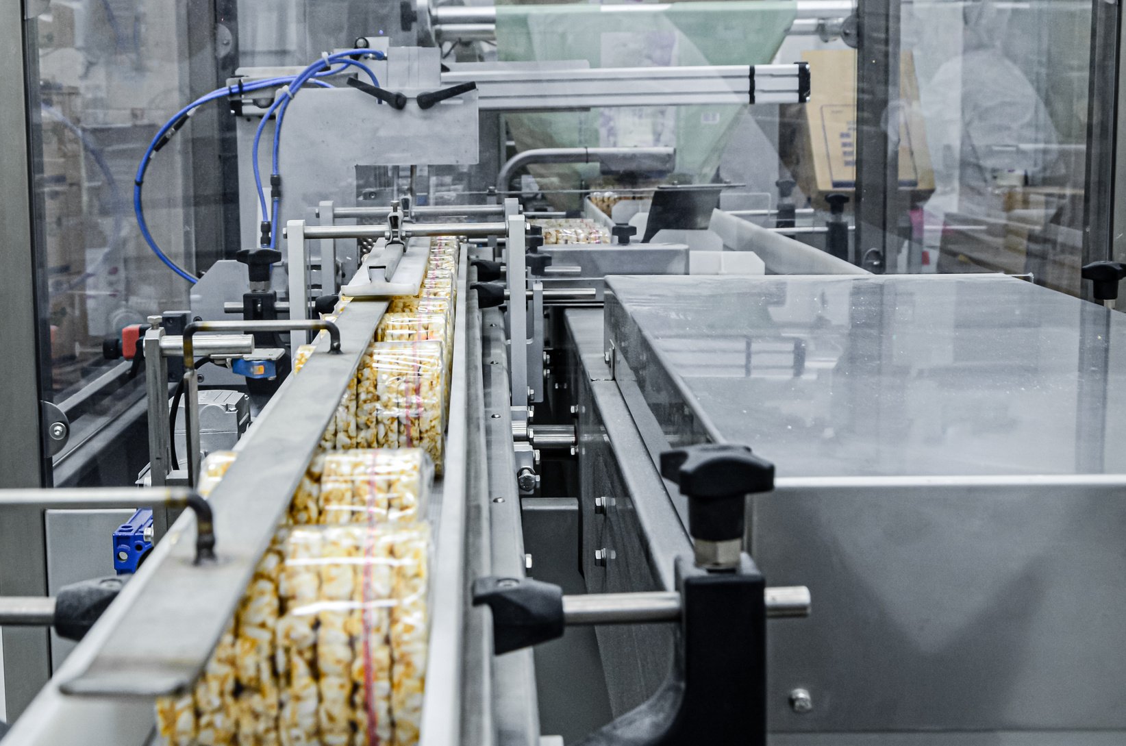 transportation from one process to another on food production line. Modern equipment food industry